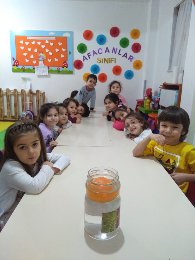 Özel Güngören Erdem Çocuk Anaokulu Deneyler